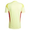 Camisola do Aston Villa Guarda Redes 2025-26 Amarela