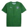 Camisola do Manchester City Pre-Match 2025-26 Verde