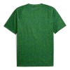 Camisola do Manchester City Pre-Match 2025-26 Verde