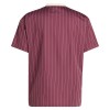 Camisola do Ajax Terrace Icons 2025-26