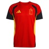 Bélgica Camisolas de Treino Mundial 2026 Vermelha Bélgica Camisolas de Treino Mundial 2026 Vermelha