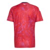 Camisola do Costa Rica Equipamento Principal Mundial 2026