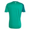 Camisola do Irlanda do Norte Equipamento Principal Mundial 2026