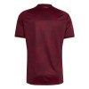 Camisola do Venezuela Equipamento Principal Mundial 2026