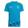 Camisola do Espanha Guarda Redes Mundial 2026