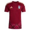 Camisola do Itália Guarda Redes Equipamento Principal Mundial 2026 Vermelha Camisola do Itália Guarda Redes Equipamento Principal Mundial 2026 Vermelha