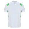 Camisola do Irlanda Equipamento Alternativo 2026-27