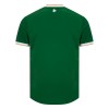 Camisola do Irlanda Equipamento Principal 2026-27