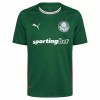 Camisola do Palmeiras Equipamento Principal 2026-27