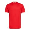 Camisola do Union Berlin Equipamento 4ª Anniversary 2025-26