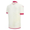 Camisola do Albânia Equipamento Alternativo 2026-27
