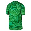 Camisola do Brasil Guarda Redes Equipamento Principal Mundial 2026 Verde
