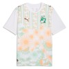 Camisola do Costa do Marfim Equipamento Alternativo Mundial 2026