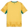 Camisola do Gana Equipamento Alternativo Mundial 2026