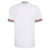 Camisola do Hungria Equipamento Alternativo Mundial 2026