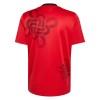 Camisola do Manchester United Cultural Story Special Edition 2025-26