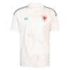 Camisola do País de Gales Equipamento Alternativo Mundial 2026 Camisola do País de Gales Equipamento Alternativo Mundial 2026