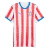 Camisola do Paraguay Equipamento Principal Mundial 2026 Camisola do Paraguay Equipamento Principal Mundial 2026