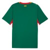 Camisola do Senegal Equipamento Alternativo Mundial 2026