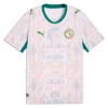 Camisola do Senegal Equipamento Principal Mundial 2026 Camisola do Senegal Equipamento Principal Mundial 2026