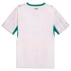 Camisola do Senegal Equipamento Principal Mundial 2026