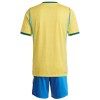 Conjunto Brasil Equipamento Principal Mundial 2026 - Criança