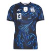 Camisola do Argentina Romero 13 Equipamento Alternativo Mundial 2026