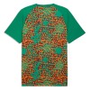 Camisola do Costa do Marfim Pre-Match Mundial 2026