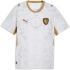 Camisola do República Checa Equipamento Alternativo Mundial 2026 Camisola do República Checa Equipamento Alternativo Mundial 2026