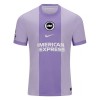 Camisola do Brighton Hove Albion Equipamento Terceiro 2026-27
