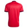 Camisola do Olympique Lyonnais Equipamento Alternativo 2026-27