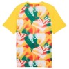 Camisola do Senegal Pre-Match Mundial 2026
