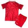 Conjunto Haiti Equipamento Terceiro Mundial 2026 - Criança