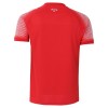Camisola do Equipamento Alternativo Jordan Mundial 2026