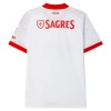Camisola do Benfica Equipamento Alternativo 2026-27