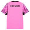 Camisola do Borussia Dortmund Equipamento Alternativo Guarda Redes 2026-27 Rosa