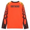 Camisola do Borussia Dortmund Orange Version Guarda Redes Equipamento Principal 2026-27 Manga Comprida