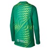 Camisola do FC Barcelona Guarda Redes Equipamento Principal 2026-27 Manga Comprida