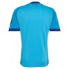 Camisola do Real Madrid Equipamento Alternativo Guarda Redes 2026-27