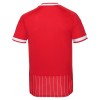 Camisola do FC Köln Equipamento Alternativo 2026-27
