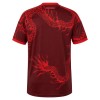 Camisola do Internacional Equipamento Terceiro 2026-27