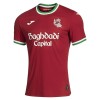Camisola do Real Sociedad Equipamento Terceiro 2026-27 Camisola do Real Sociedad Equipamento Terceiro 2026-27