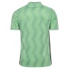 Camisola do AS Saint-Etienne Equipamento Terceiro 2026-27