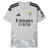 Camisola do Benfica Guarda Redes 2026-27 Cinza