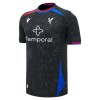 Camisola do Crystal Palace Equipamento Alternativo 2026-27 Camisola do Crystal Palace Equipamento Alternativo 2026-27