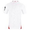 Camisola do FSV Mainz 05 Equipamento Alternativo 2026-27