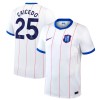Camisola do Chelsea Caicedo 25 Equipamento Terceiro 2026-27 Camisola do Chelsea Caicedo 25 Equipamento Terceiro 2026-27