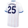 Camisola do Chelsea Caicedo 25 Equipamento Terceiro 2026-27