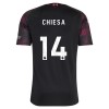Camisola do Liverpool Chiesa 14 Equipamento Terceiro 2026-27 Camisola do Liverpool Chiesa 14 Equipamento Terceiro 2026-27