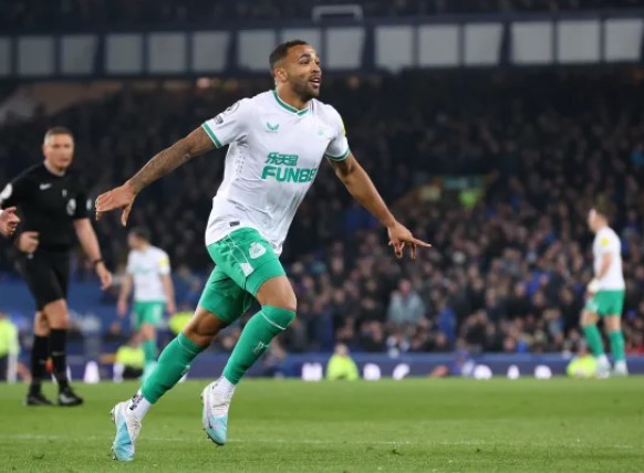 Premier League: Newcastle 4-1 Everton